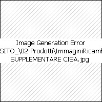 CHIAVE SUPPLEMENTARE CISA