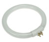NEON CIRCOLARE 22W-10