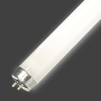 NEON LINEARE 15W